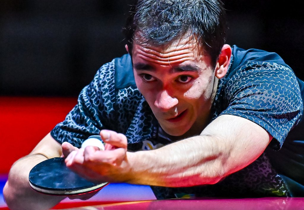 用户不仅可 用户不仅可