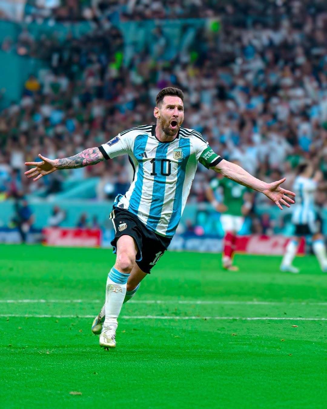 结论要点 结论要点